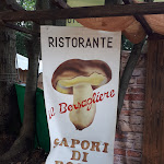 Photo n°4 de l'avis de Nina.m fait le 01/09/2018 à 11:59 sur le  Sagra Fungo Porcino Colle Di Fuori à Colle di Fuori