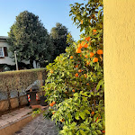 Photo n°2 de l'avis de Enza.a fait le 02/04/2023 à 15:43 sur le  B&B Villa Giulia à Desenzano del Garda