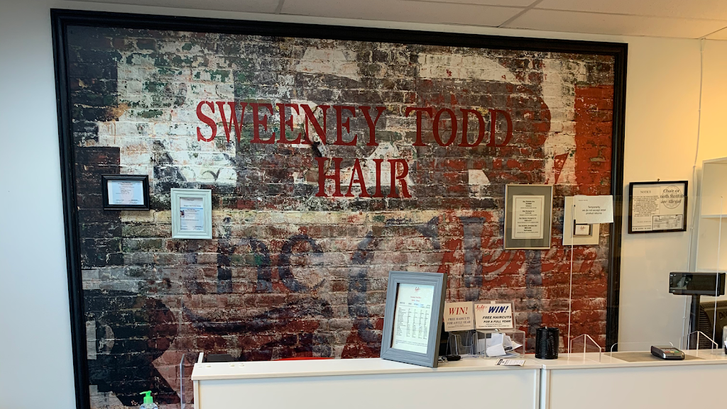 Sweeney Todd Hair 08854