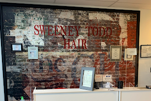 Sweeney Todd Hair image