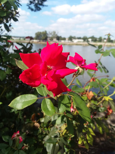 Arena «Verizon Arena», reviews and photos, 1 Verizon Arena Way, North Little Rock, AR 72114, USA