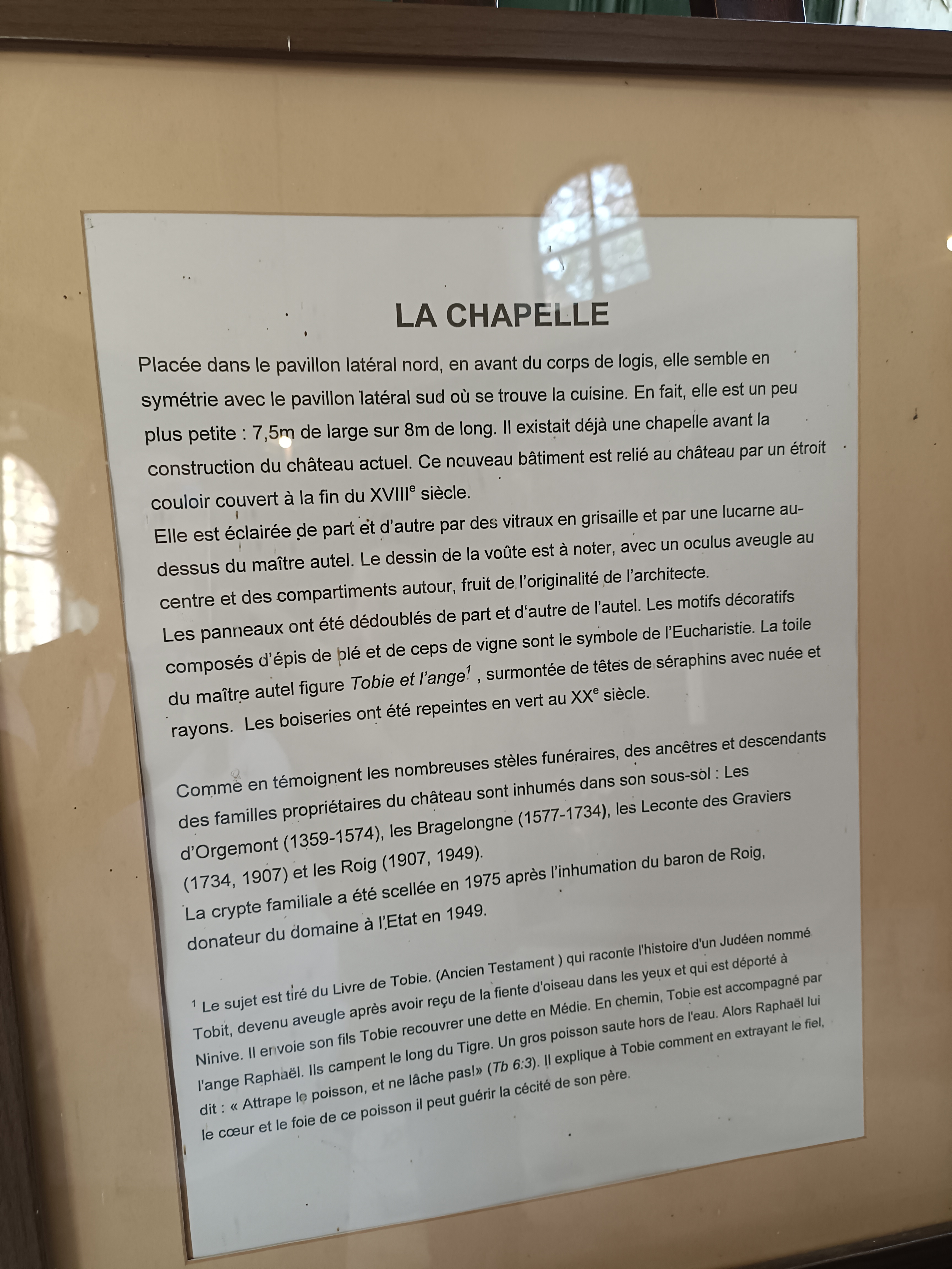 Photo n° 13 de l'avis de Oréda. fait le 09/07/2023 à 19:49