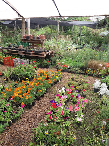 VIVERO TORRES - Centro de jardinería