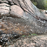 Photo n°11 de l'avis de Nicola.e fait le 25/09/2023 à 16:04 sur le  Camping Coccorrocci à Marina di Gairo