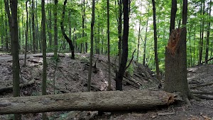 Fort Hill - photo 40