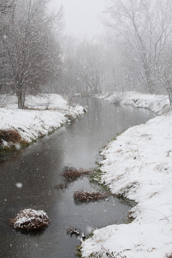 Park «Lions Coon Creek Park», reviews and photos, 1664 119th Ave NW, Coon Rapids, MN 55433, USA