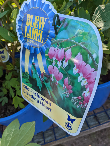 Florist «Nunan Florist & Greenhouses», reviews and photos, 269 Central St, Georgetown, MA 01833, USA