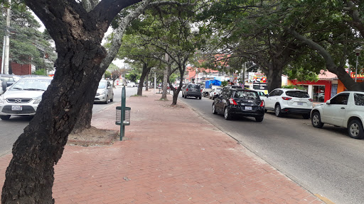 Paseo peatonal av centenario