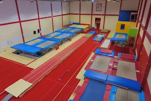 Liverpool Trampoline Gymnastics Academy image