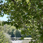 Photo n° 6 de l'avis de Stef.n fait le 13/07/2022 à 12:04 pour La Cascade, Restaurant Bar à Clisson