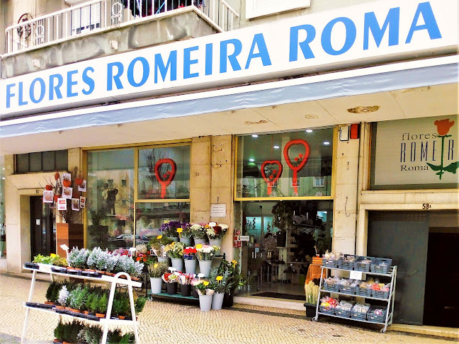 http://www.floresromeira.com/