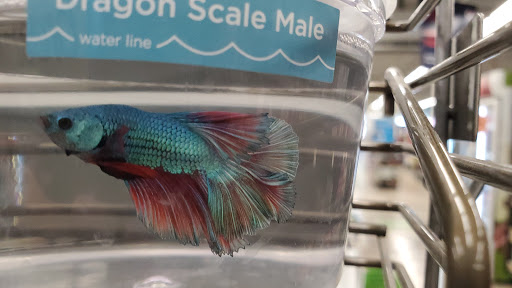 Pet Supply Store «Petco Animal Supplies», reviews and photos, 5938 Roswell Rd NE, Sandy Springs, GA 30328, USA