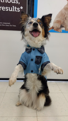 Pet Supply Store «Petco Animal Supplies», reviews and photos, 710 W 66th St, Richfield, MN 55423, USA