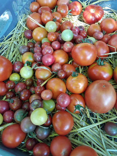 Produce Market «Douglass Loop Farmers Market», reviews and photos, 2005 Douglass Blvd, Louisville, KY 40205, USA