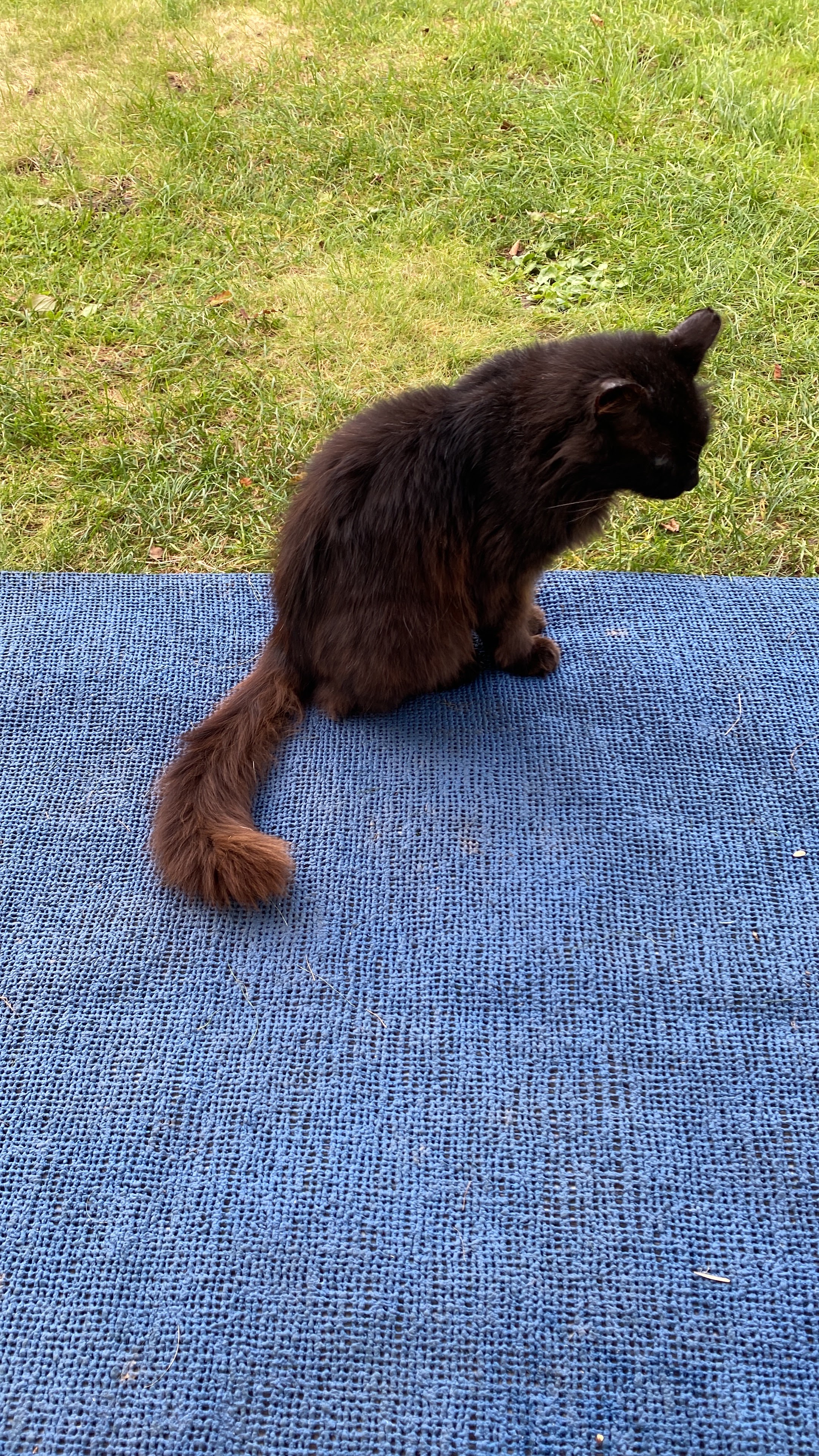 Photo n° 12 de l'avis de Eddie.a fait le 17/09/2023 à 18:40