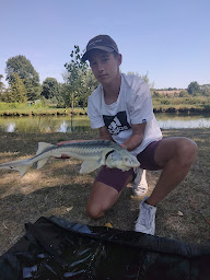 Photo n°8 de Étangs de la croisette à Briastre ()