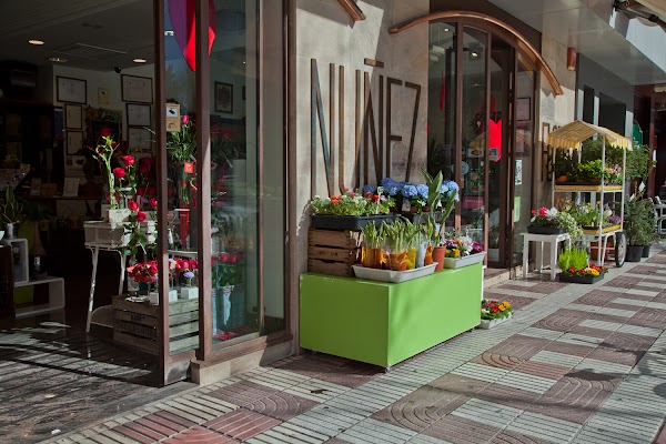 Imagen de Floristería Nuñez (2 de 10)