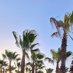 Photo n°1 de l'avis de Abeera. fait le 11/06/2021 à 20:42 sur le  São Rafael Atlântico à Albufeira