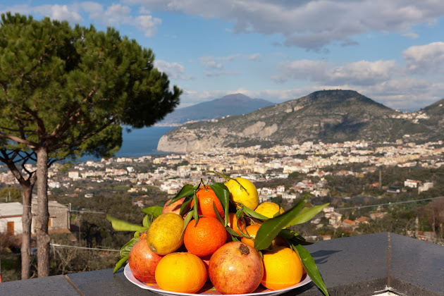 Photos du propriétaire Appartamento vacanze Appartamento Villa degli Ulivi 80065 Sant'Agnello