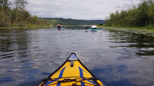 Park «Marymoor Park», reviews and photos, 6046 West Lake Sammamish Pkwy NE, Redmond, WA 98052, USA