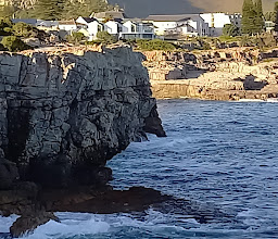 Hermanus Cliff Path Biodiversity Walk photo