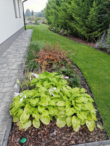 Értékelések erről a helyről: Art Florist Kft. - kertépítés, öntözőrendszer telepítés, Győr - Virágárus