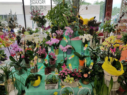 Florist «Morton Grove Florist», reviews and photos, 5741 Dempster St, Morton Grove, IL 60053, USA