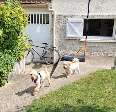 Refuge de la Tuilerie - Fondation 30 Millions d'Amis-visites sur RDV à Saint-Hilliers