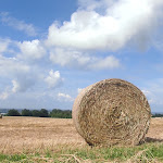 Photo n°1 de l'avis de Mirella.i fait le 10/06/2023 à 21:05 sur le  Cammino nel Verde à Fornovo di Taro