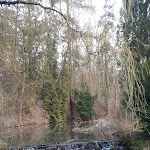 Photo n°7 de l'avis de Mesut.e fait le 29/03/2024 à 14:40 sur le  Schloss Rauischholzhausen à Ebsdorfergrund
