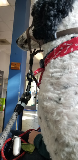 VCA TLC Pasadena Veterinary Specialty and Emergency image