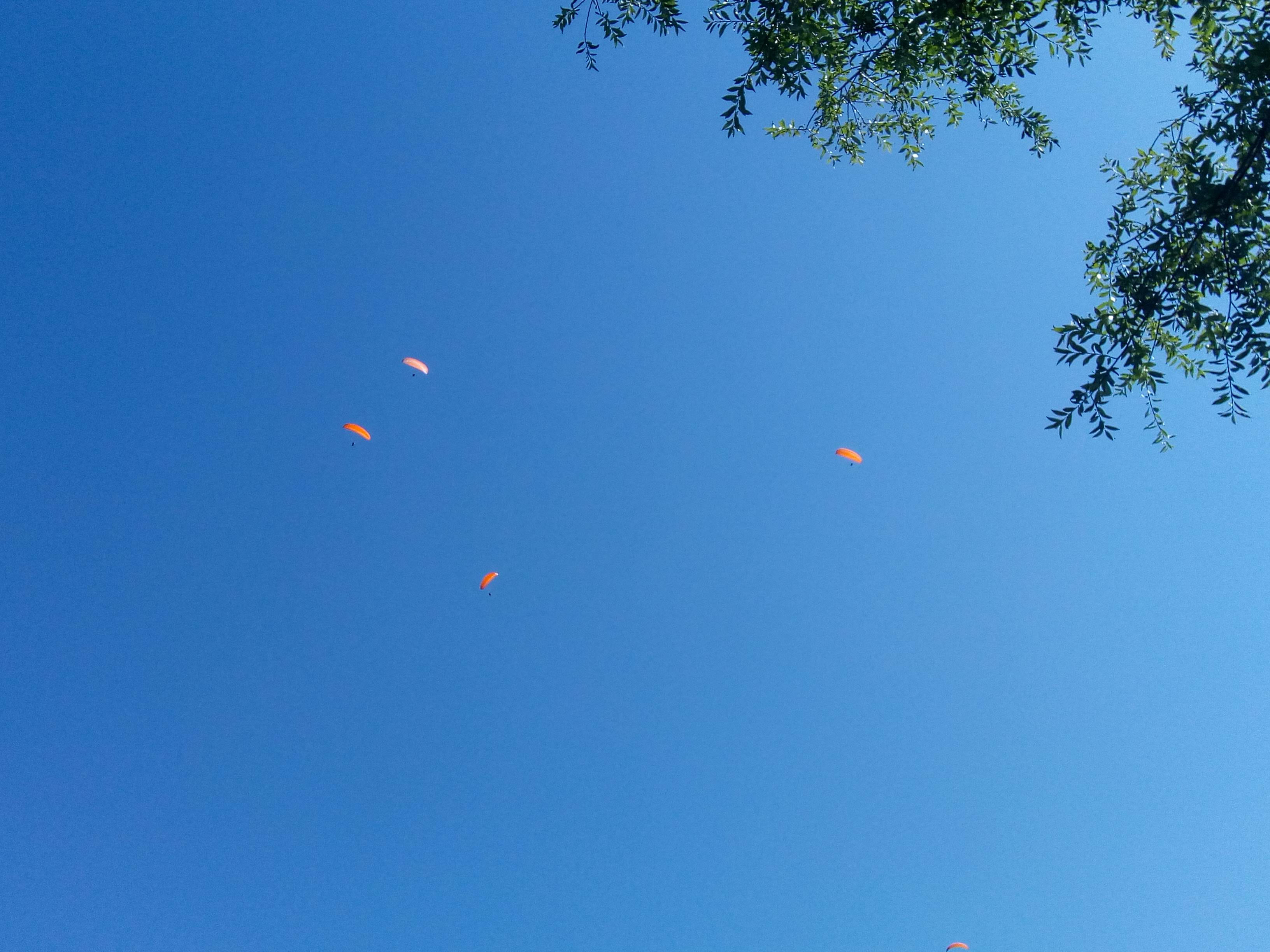 Photo n° 4 de l'avis de Christine.a fait le 26/08/2019 à 16:47