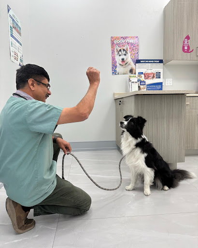 Erin Centre Animal Hospital image