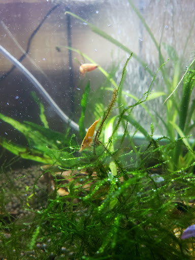 Pet Supply Store «Petco Animal Supplies», reviews and photos, 4751 W 29th St, Greeley, CO 80634, USA