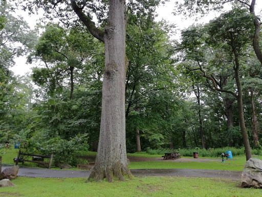 Park «Sprain Ridge Park», reviews and photos, 149 Jackson Ave, Hastings-On-Hudson, NY 10706, USA