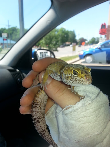 Pet Supply Store «Pet Supplies Plus», reviews and photos, 1530 S Washington St, Crawfordsville, IN 47933, USA