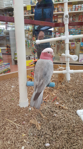 Pet Store «The Pet Pad», reviews and photos, 1239 NW Maynard Rd, Cary, NC 27513, USA