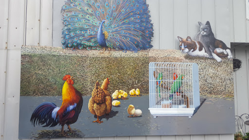 Animal Feed Store «Collier Feed & Pet Supply», reviews and photos, 101 W Laurel Dr, Salinas, CA 93906, USA