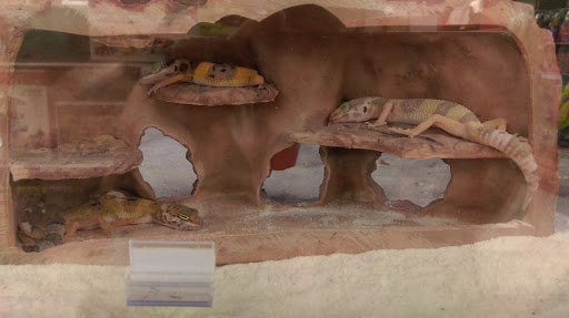 Pet Supply Store «Petco Animal Supplies», reviews and photos, 2520 E 3rd St, Bloomington, IN 47401, USA