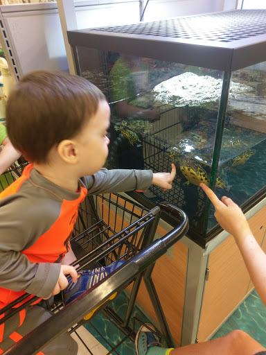 Pet Supply Store «Petco Animal Supplies», reviews and photos, 3520 Veterans Memorial Blvd, Metairie, LA 70002, USA