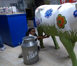 El Canal De La Perla Acceso Cepeda photo