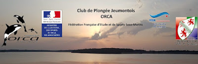 Orca Jeumont Plongée à Jeumont