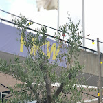 Photo n°3 de l'avis de wrank.a fait le 05/07/2022 à 16:19 sur le  Weltwirtschaft am HKW à Berlin