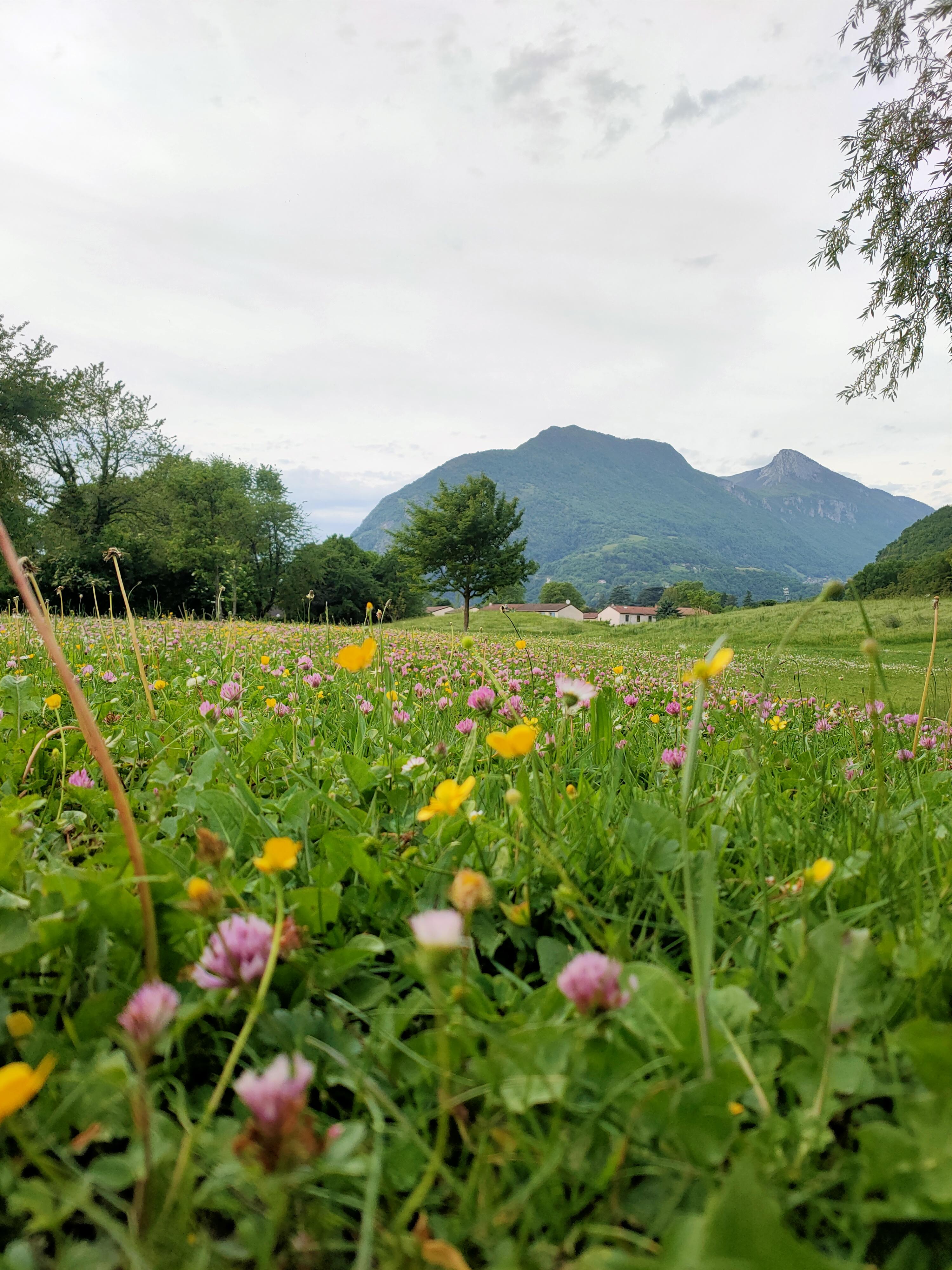 Photo n° 2 de l'avis de Jerome.i fait le 17/05/2022 à 17:07