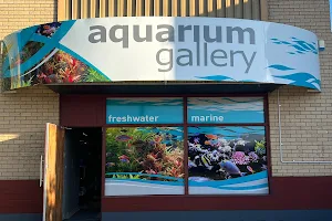 Aquarium Gallery Perth image