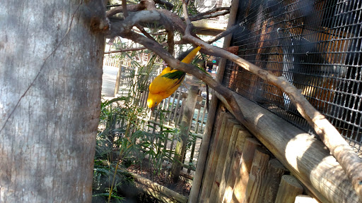 Zoo «St. Augustine Alligator Farm Zoological Park», reviews and photos, 999 Anastasia Blvd, St Augustine, FL 32080, USA