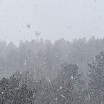 Photo n°10 de l'avis de Cosi.d fait le 12/02/2024 à 18:18 sur le  Hotel Il Brigante à Caprara