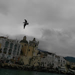 Photo n°3 de l'avis de lorella.o fait le 31/12/2017 à 14:05 sur le  Ristorante Bar da Coco' à Ischia