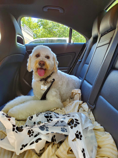 Pet Supply Store «Earth Pets Natural Pet Market», reviews and photos, 500 NW 60th St # F, Gainesville, FL 32607, USA