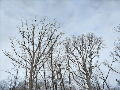 Nature Preserve «Hidden Oaks Conservation Area», reviews and photos, 419 Trout Farm Rd, Bolingbrook, IL 60440, USA